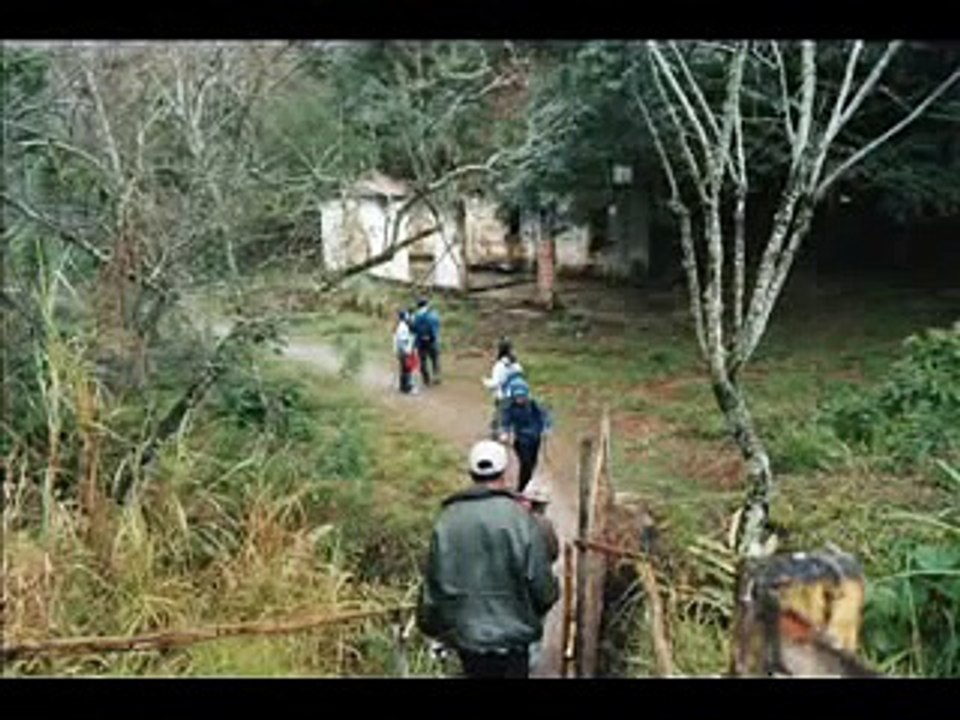 Raul Seixas - Trem das sete (Clipe)