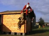 Nel 2010 Babbo Natale derubato da un cane pastore belga Malinois ... AUGURI