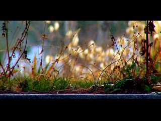 ALSANCAK YAPI PEYZAJ VE TİC. LTD. ŞTİ. TANITIM VİDEOSU