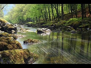 Owl City - On The Wing *New Song*