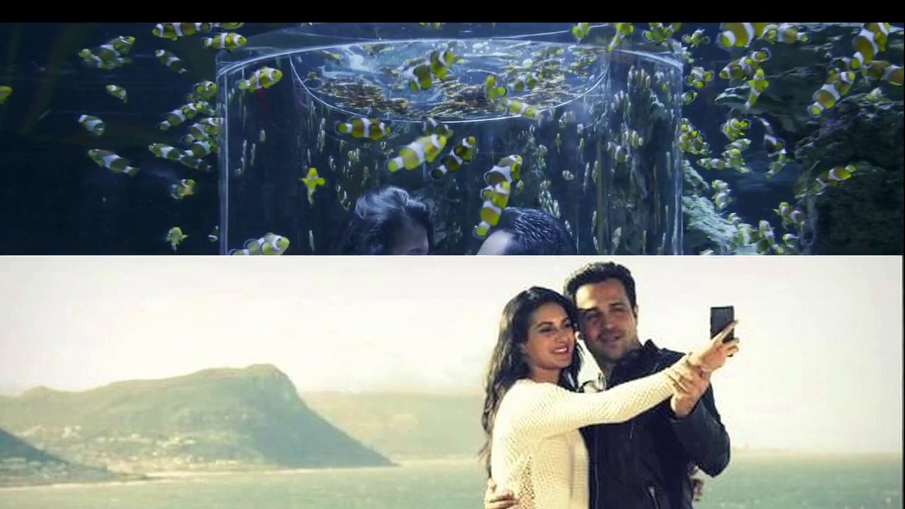 'Mr. X' - Total Box Office Collection