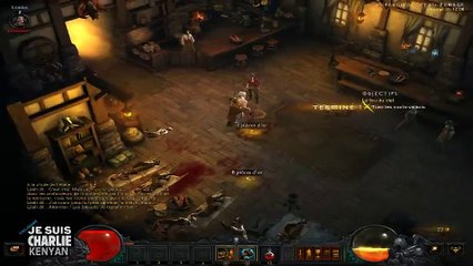 Diablo III #1.1 UN MICRO !