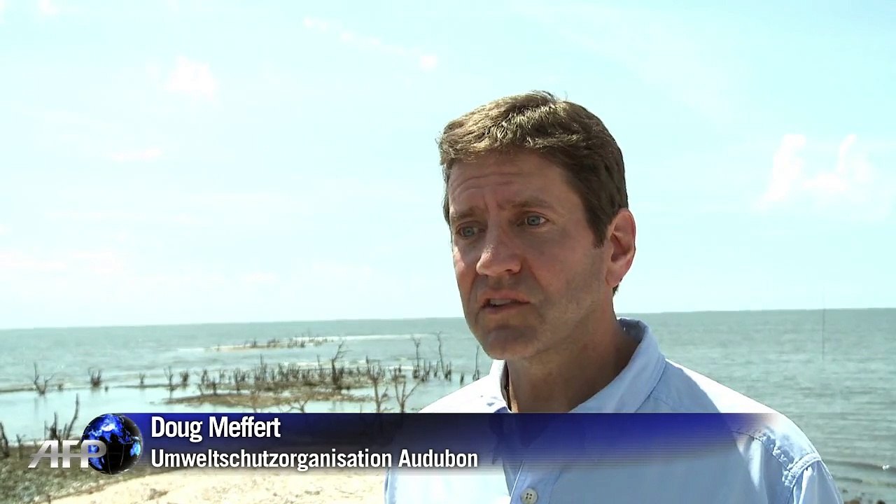 Deepwater-Horizon-Ölpest: Die Natur leidet noch immer