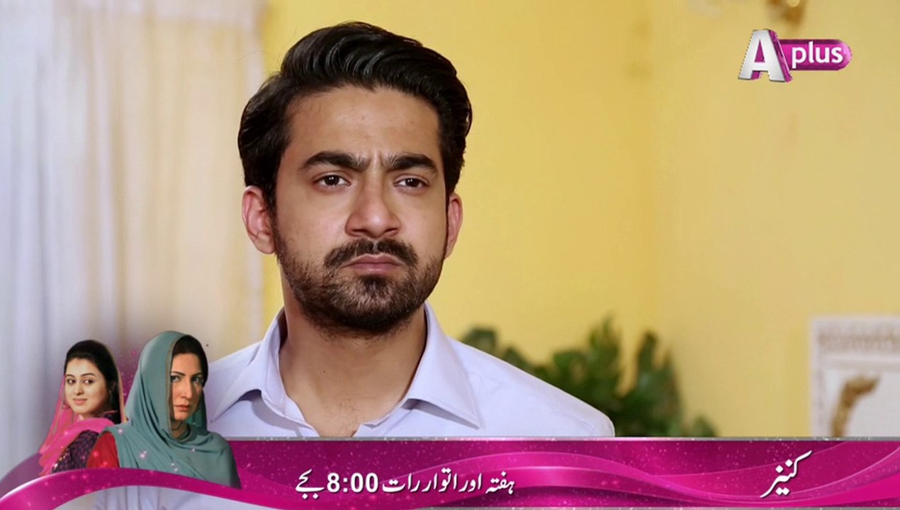 Kaneez Episode 66
