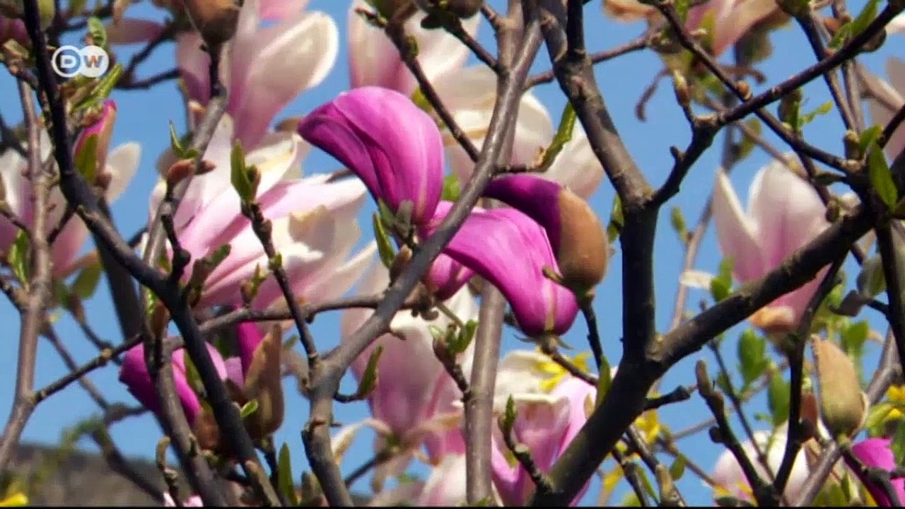 Die bundesgartenschau 2015 | euromaxx