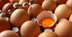 Organik Adıyla Tavuk Pisliğine Bulanmış Yumurta 2 Katına Satılıyor