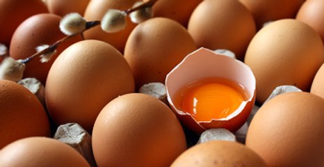 Organik Adıyla Tavuk Pisliğine Bulanmış Yumurta 2 Katına Satılıyor