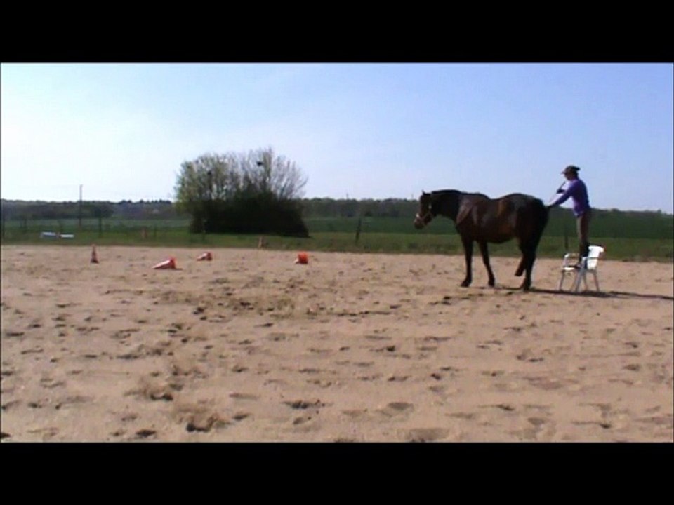 prépa défis avril 2015 montés Volt