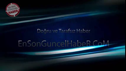 Kediden yürüme dersleri