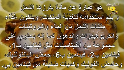 غذاء ملكات النحل (Royal Jelly) وفوائده الهائلة