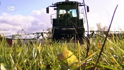 Der Boden wird knapp  - Mangelware Ackerland | Global 3000