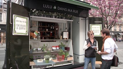 "Lulu", le nouveau concierge de rue