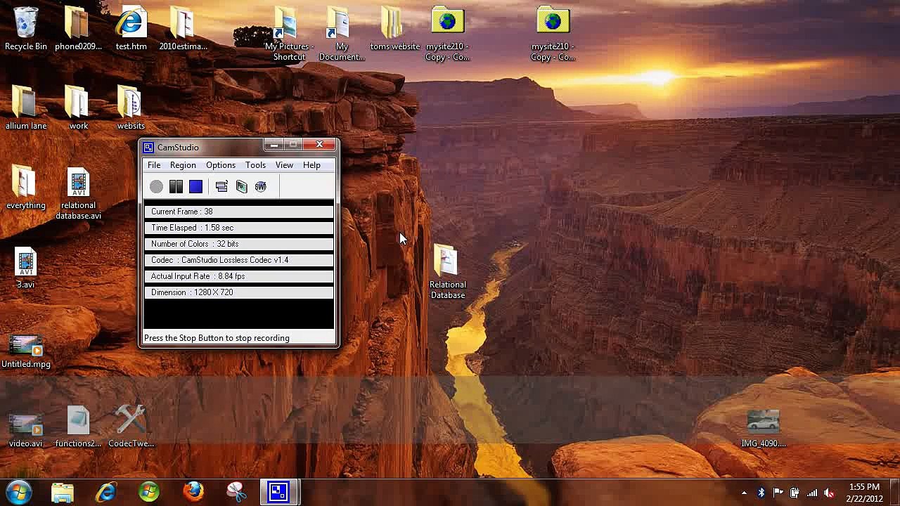 Microsoft Access 2007 Customer Database