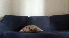 Real Ghost sight? Scary - NSFW