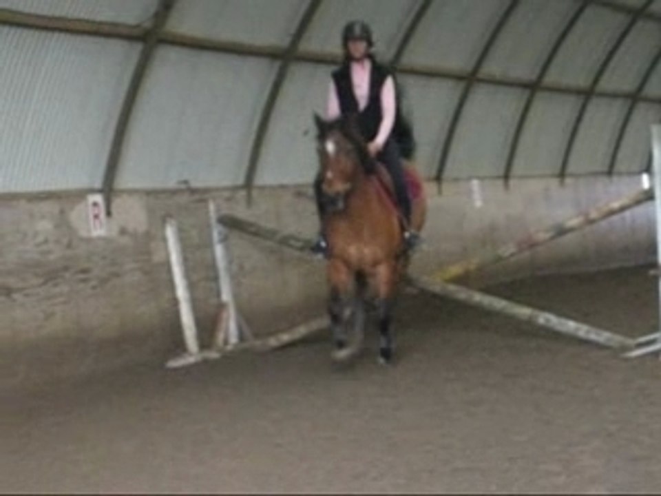 Cyberds saut solitaire