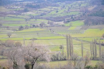Kolin, Santral İçin Soma'da Yeni Yer Belirledi