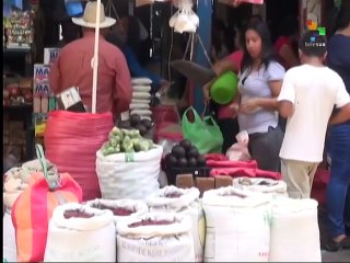 Honduras: Lack of Gov't Support Leads to Bean Shortage