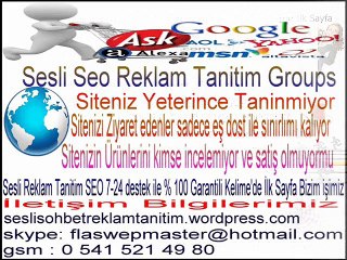 Sesli Panele Kaliteli Seo Hizmeti