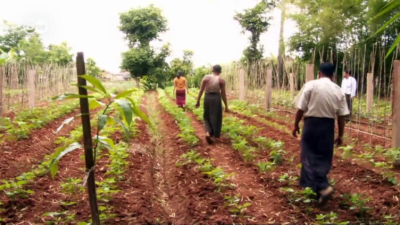 Soil Erosion Round the World - Causes and Solutions | Global 3000