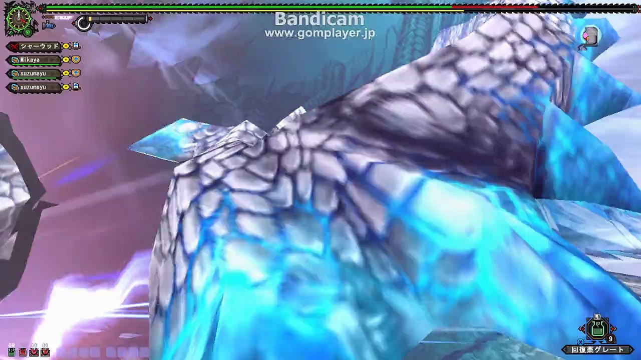 monster hunter frontier　ゼルと黒レイア