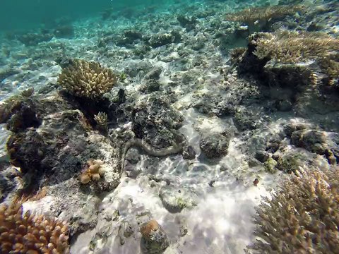 Les Cabanons à Mayotte
