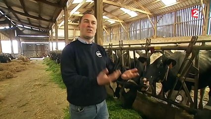 Un groupe d'éleveurs vont produire et commercialiser leur propre lait