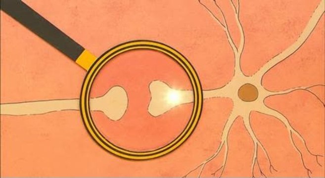 C'est Pas Sorcier : les dangers de la prise de médicaments au volant