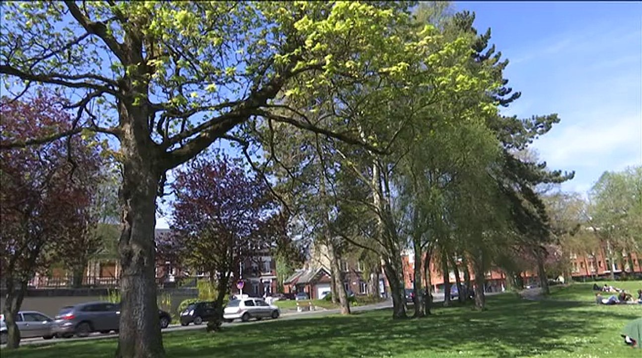 Allergies : les pollens se dispersent !