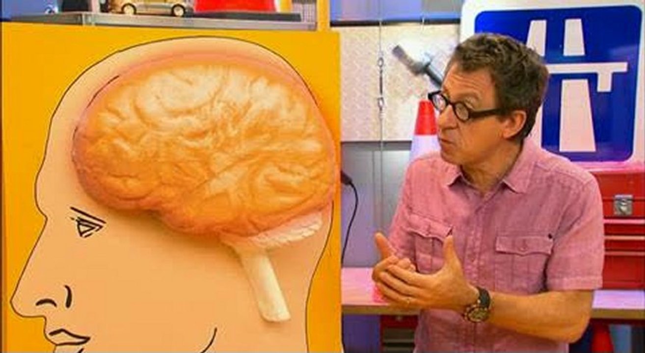 C'est Pas Sorcier : la fatigue au volant