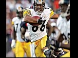 Original Troy Polamalu Steelers