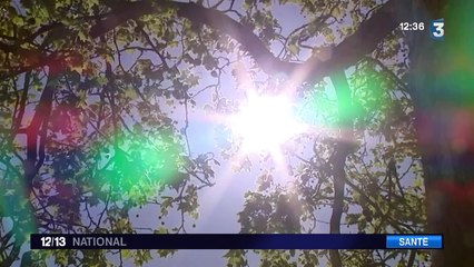 Les spécialistes surveillent la prolifération des pollens