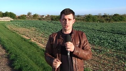 MAG SPORT du 31 octobre 2013