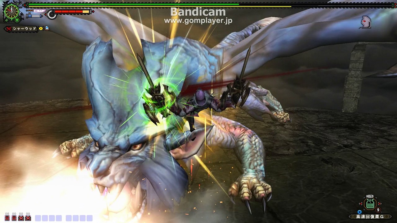 monster hunter frontier　G級ナナ