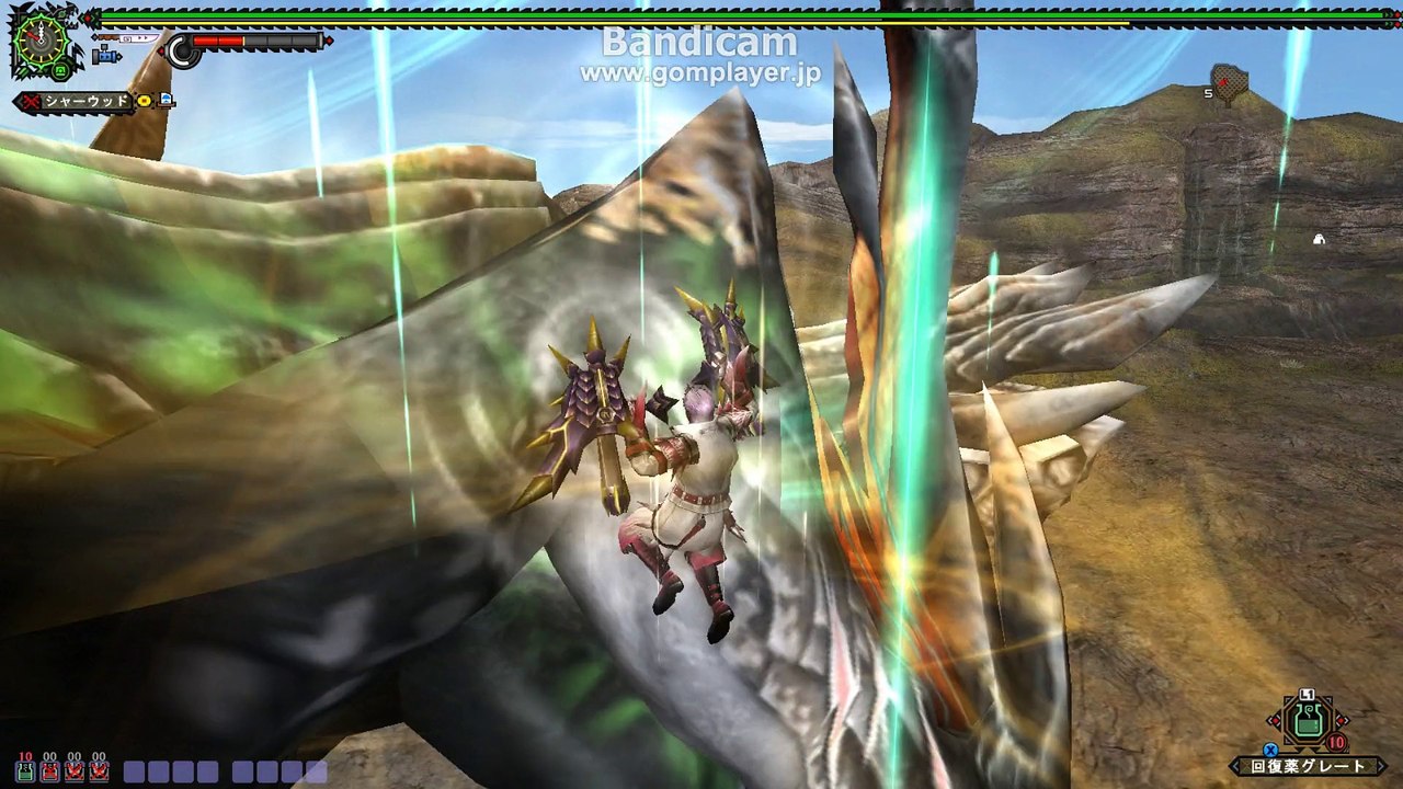 monster hunter frontier　剛種ポボル