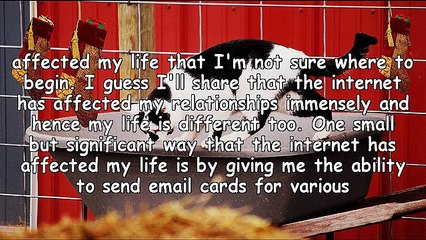 Good Reasons To Send Email Cards Instead