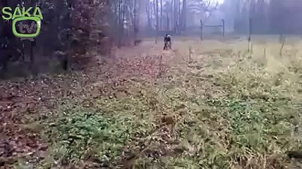 Köpekten Sahibine Ölüm Vuruşu (1)