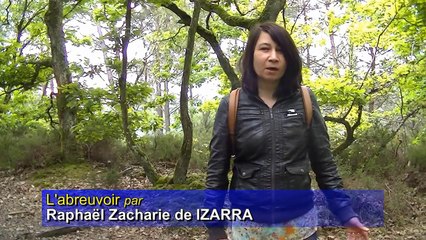 L'abreuvoir   Raphaël Zacharie de IZARRA
