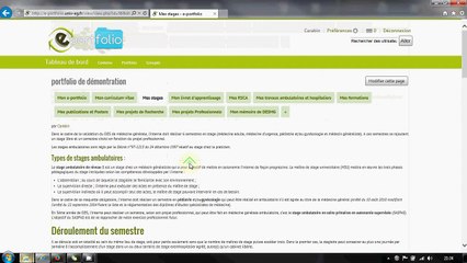 e-portfolio dmg-ag : portfolio d'évaluation (en bref)