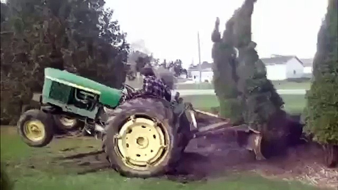 Даже дерево умеет постоять за себя