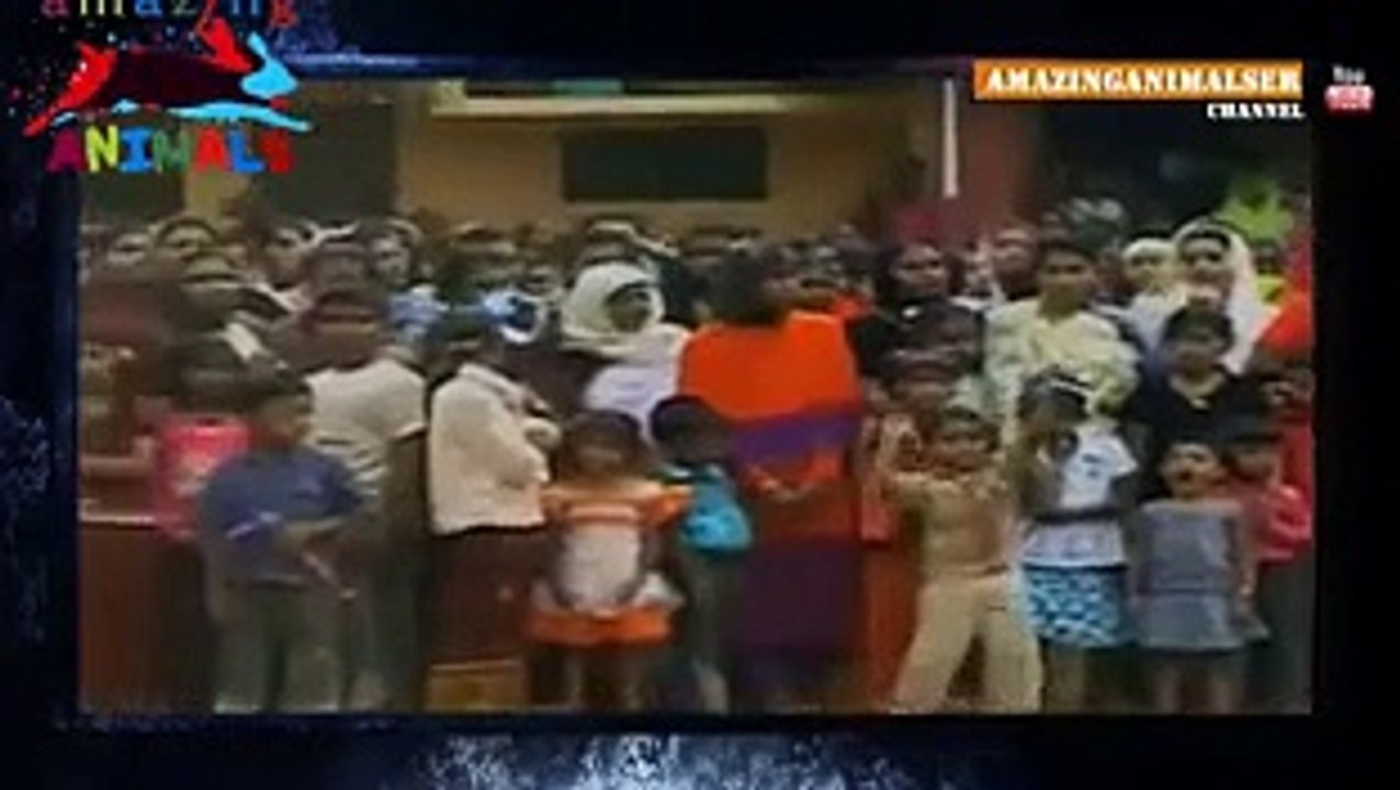 Angry Indian Elephent God claimed 18 LIves in India