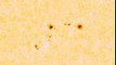 NASA SDO - Traveling Sunspots (Feb 7 - 20, 2011)