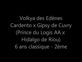 Volkya des Edènes 6 ans qualif Rosière 15 avril 2015 2ème place