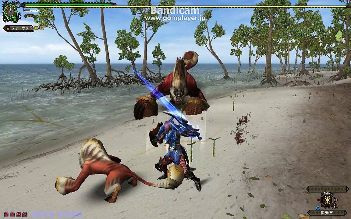 monster hunter frontier　G級ゴゴ vs カウンター