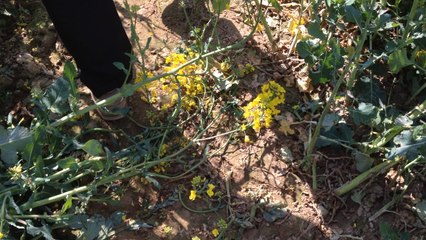 Découverte de galeries