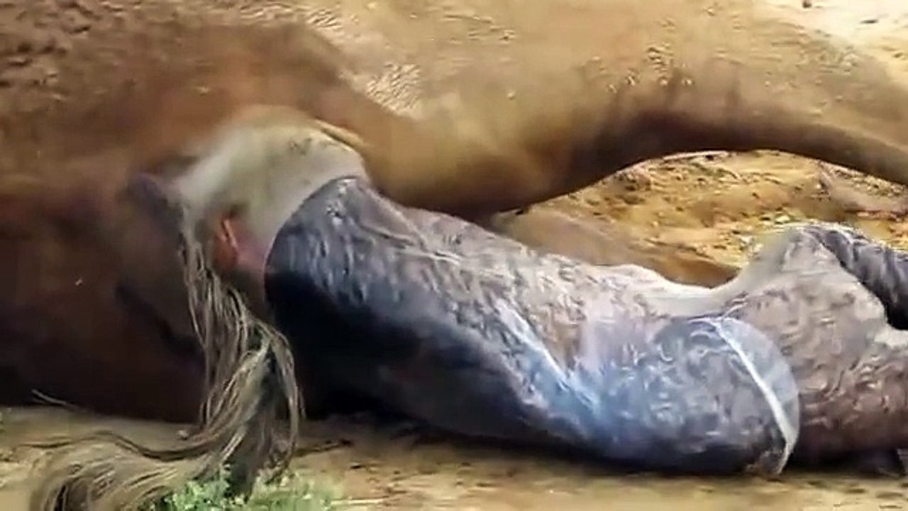 DEVE BÖYLE DOĞURDU!