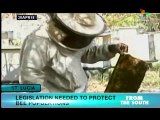 St. Lucia: Bee Keepers Face Declining Populations