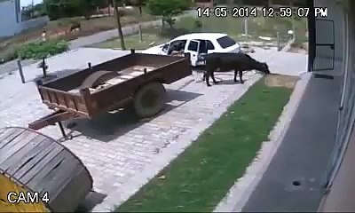 Koptum gülmekten . -)))