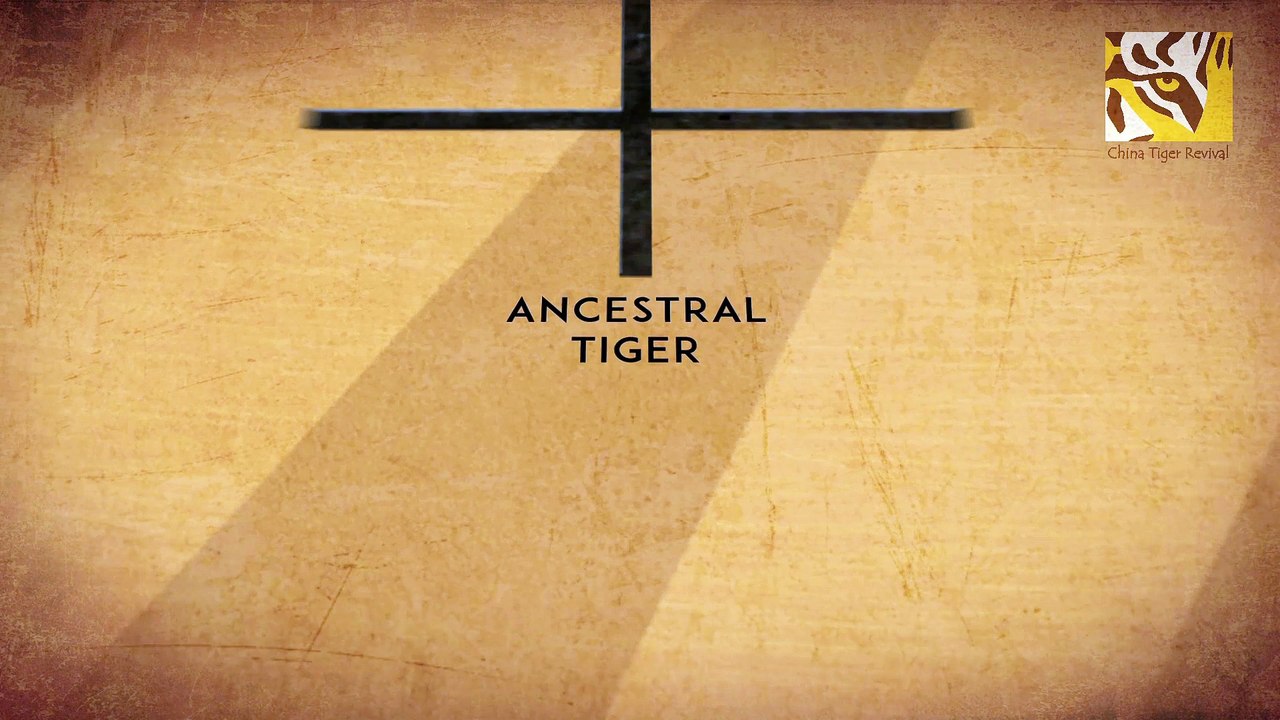 China Tiger Revival