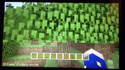 Minecraft PS Vita - Diamond seed