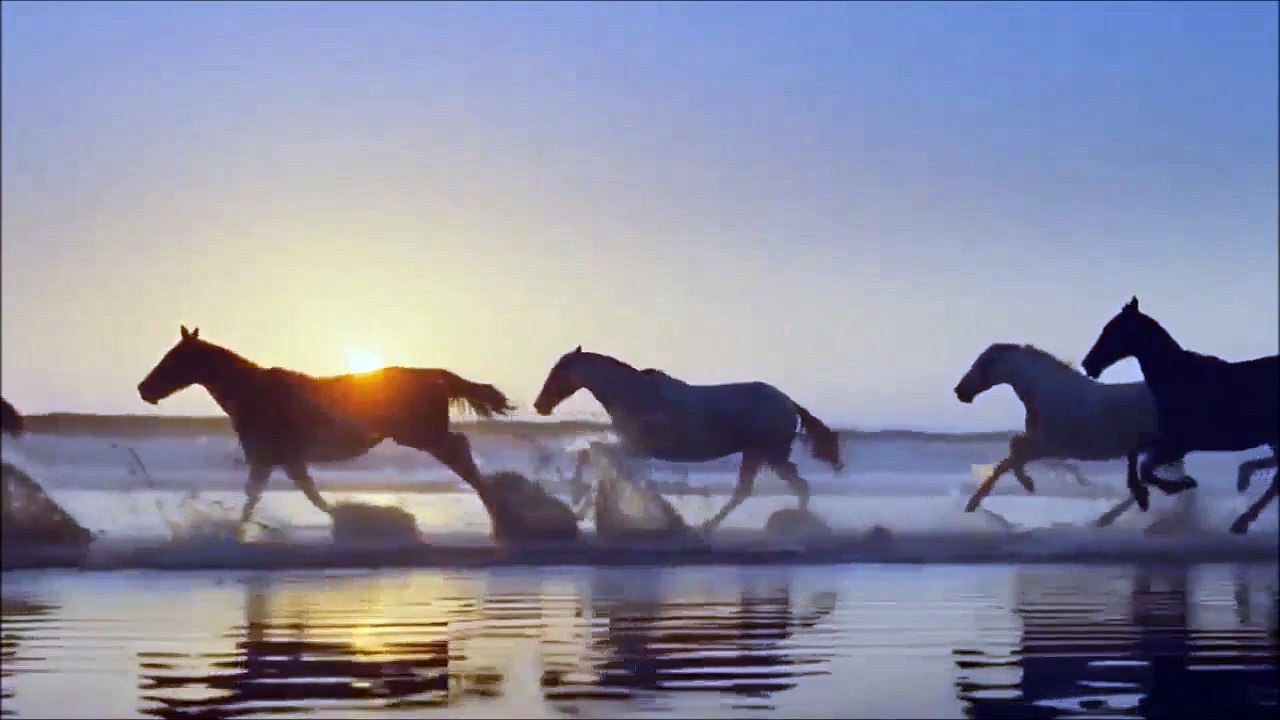 Океан моей памяти - clipmaker Igor Kistin